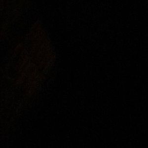 Meet your Posher, Ella